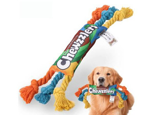 Rainbow Candy Shaped Dog Chew Toy