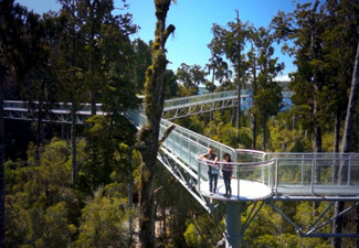 Adult Pass to The West Coast Treetop Walkway - Option for Child Pass
