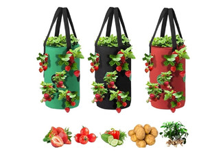 Three-Gallon Strawberry Vegetables Grow Bag - Available in Three Colours & Option for Two-Pack