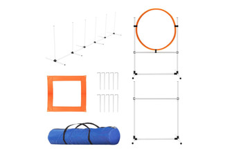 Five-Piece Dog Obstacle Equipment Set