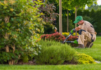 Two-Hours of Garden Maintenance with GreenGo Garden - Option for Four-Hours or Custom Built Raised Veggie Garden