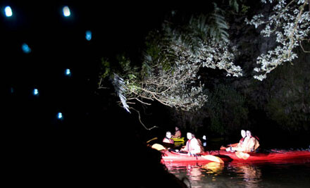  adventure kayak trip for $59 with The Boat Shed Kayaks, Cambridge