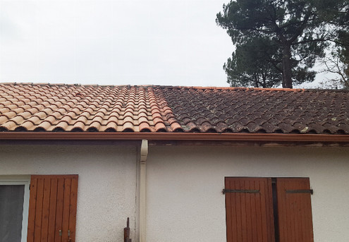 Moss, Mould & Lichen Roof Treatment for a Roof Under 120 Square Metres  - Options for up to a 360 Square Metre Roof
