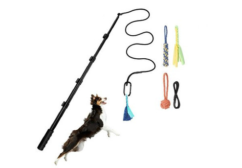 Interactive Flirt Pole Toy for Dog - Option for Two-Set