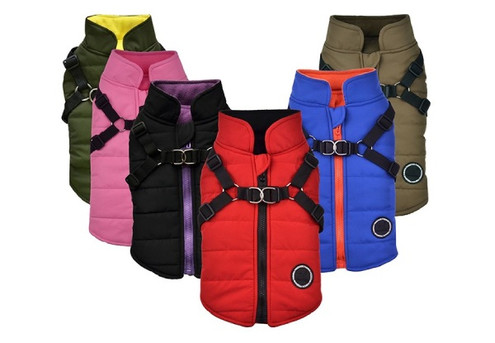 Winter Padded Coat for Dogs - Available in Six Colours & Six Sizes