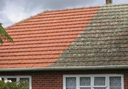 Roof Treatment for Fungus, Lichen Removal & Prevention for a Single Storey, One to Two Bedroom House - Options for up to a Two-Storey House with a Multi-Level Roof
