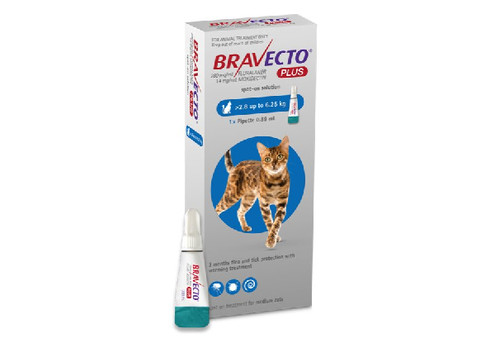 Bravecto Plus Medium Cat Spot On Flea & Tick Solution - Elsewhere Pricing $82.99