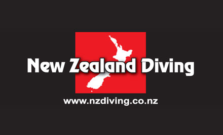 From $100 for a Hunter & Gathering Dive Charter with New Zealand Diving incl. Tank & Gear Hire (value up to $225)
