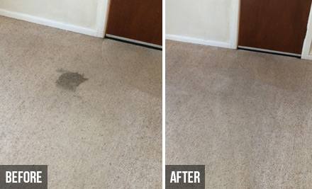 From $34 for Home Carpet Cleaning - Options Available for One, Two, Three & Four Bedroom Homes (value up to $175)