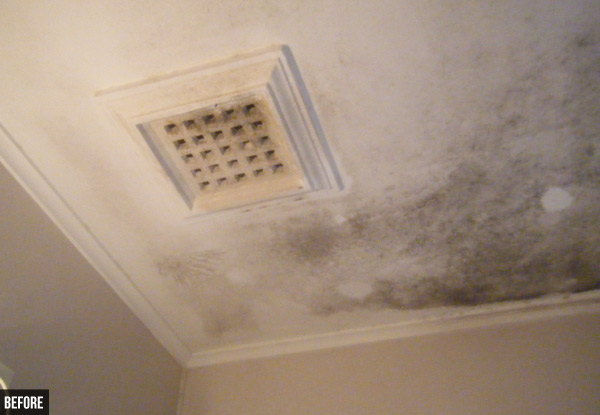 $99 for a Chemical-Free Ceiling Clean for One Room or $125 for Two Rooms (value up to $260)