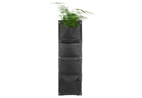 $10 for a Hanging Wall Planter, $18 for Two, or $34 for Four