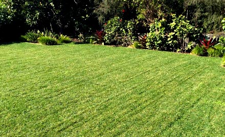 $179 for Four Hours of Gardening Services incl. up to 100kg of Green Waste Removal (value up to $358)