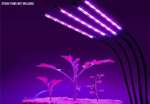 Four-Head LED Plant Grow Light with Clip Base - Two Options Available
