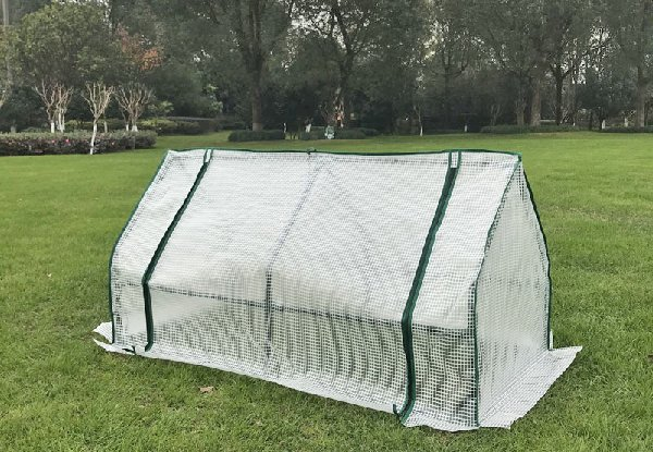 Mini Garden Greenhouse With Roll-Up Door - Two Sizes Available