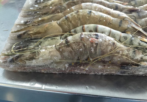 $19.95 for an 800g Box of Whole Raw Black Tiger Prawns