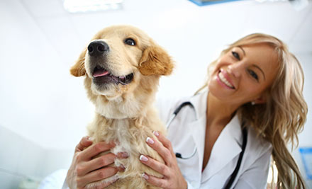 $30 for a Cat or Dog Veterinary Health Check & Vaccination (value up to $60)