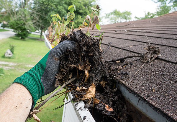 From $29 for a Gutter Clean & Debris Removal (value up to $258)