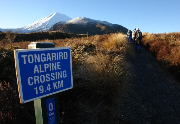 Tongariro Alpine Crossing 1-Way Shuttle from Ketetahi Road for One from Monday to Friday - Options for Saturday to Sunday and up to 21 People