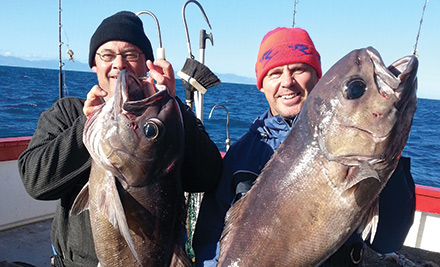$49 for a Four-Hour Fishing Trip, $79 for a Six-Hour South Coast In-Shore Fishing Trip or $105 for a Nine-Hour Deep Water Charter in Cook Strait - Options to incl. Rod Hire, Tackle & Bait (value up to $190)