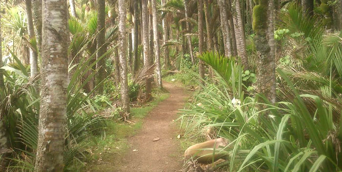 $1,399 Per Person for Six Nights on a Heaphy Track Guided Walk Adventure incl. Transfers to/from Nelson, Accommodation & Meals 17-23 Feb 2016