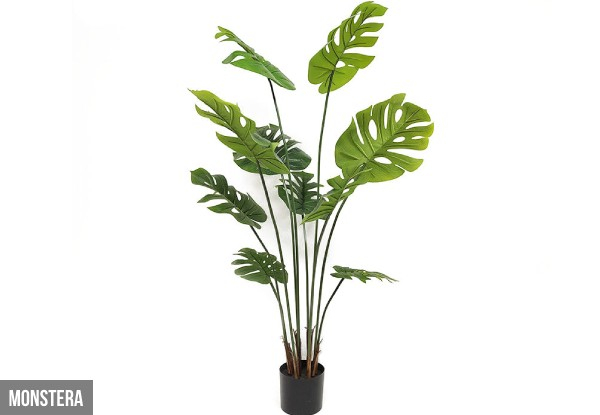 Artificial Plant Range - Available in Four Options & Three Sizes