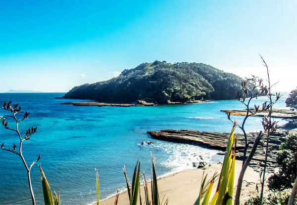 $38 for a PADI Guided Snorkel Experience at Goat Island Marine Reserve for One Person or $75 for Two People (value up to $150)