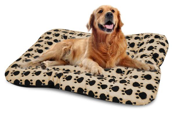 $24.99 for a Comfy Dog Bed
