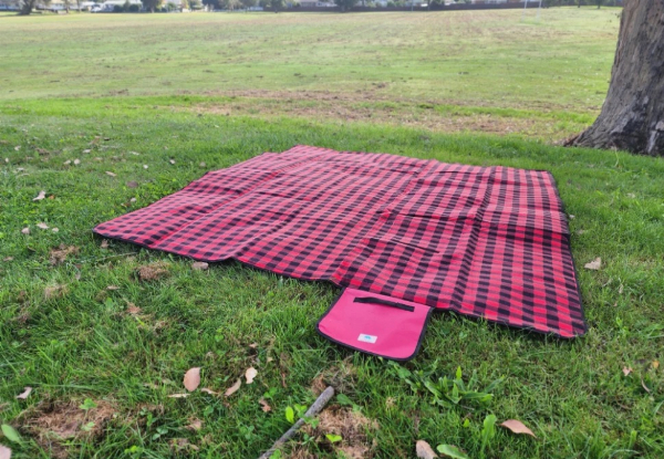 Foldable Water-Resistant Picnic Blanket