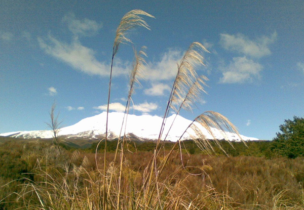 $30 for a Tongariro Mountain Bike Adventure (value up to $65)