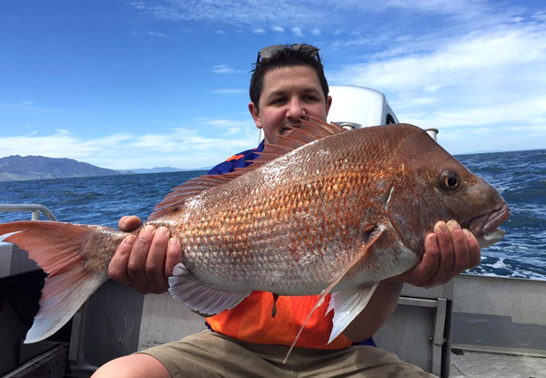 $195pp for a High Speed Work-Up Shared Fishing Charter