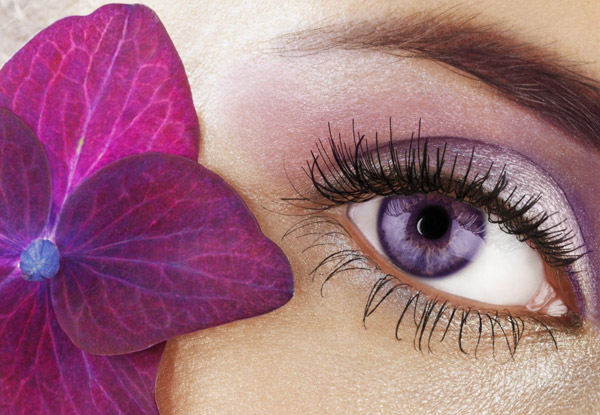 $19 for an Eye Trio – Choose from Brow Threading or Waxing (value up to $30)