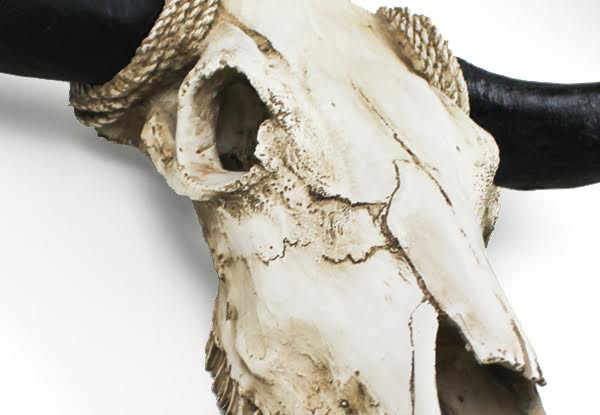 $59.99 for a Faux Cow Skull (value $199.90)
