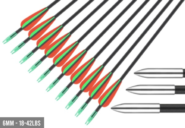 10-Pieces Fibreglass Arrows - Two Sizes Available