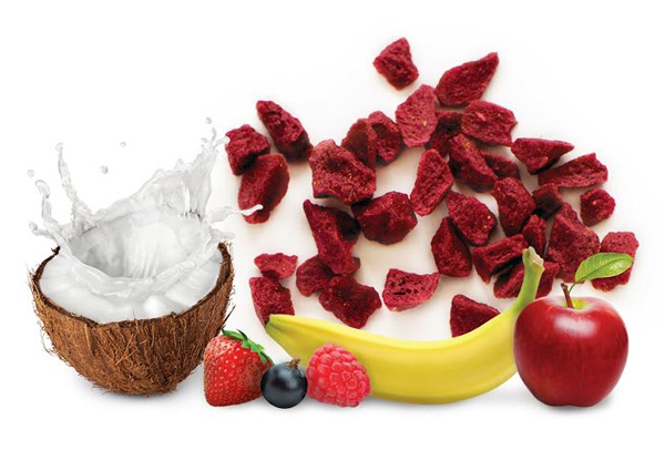 $25 for 20 All Natural CleanPaleo CoGo Bites Sachets in Mixed Berry & Mango Peach Flavour (value $40)
