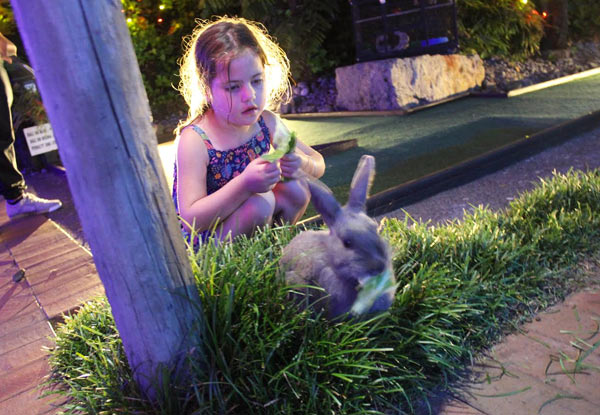 One Round of Mini-Golf with Rabbits for One Person - Options for up to Six People
