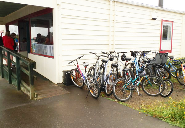 From $15 for a Bay of Islands Cycle Trail Tour incl. Bike Hire, Helmet Hire & Transport