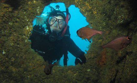 $299 for an Open Water Scuba Dive Course (value up to $550)