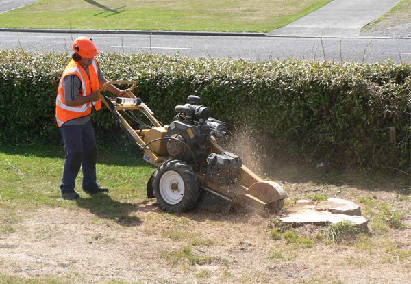 $160 for a $315 Specialist Outdoor Services Voucher - Valid for Aborist Work, Pruning, Landscaping & More