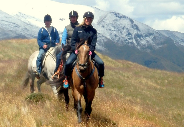 $35 for a One-Hour Horse Trek in Hanmer Springs or $45 for a 1.5-Hour Trek (value up to $90)