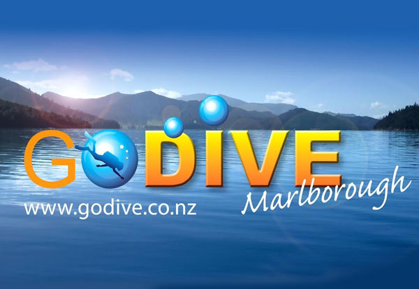 $135 for a SCUBA Discovery Experience – Valid to 31st January 2017 (value up to $235)