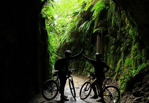 Bike Shuttle Service for Two to the Timber Trail