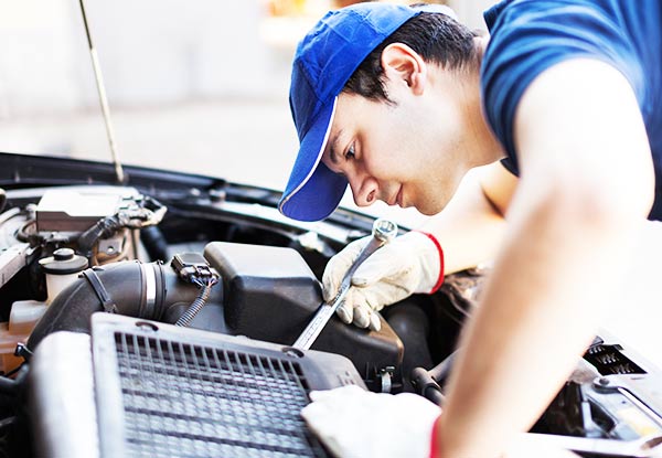 $59 for a Basic Vehicle Service, $115 for a Comprehensive Extensive Service or $99 for an Auto Transmission Service (value up to $230)