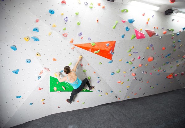 $5 for a Child's Boulder Climbing Wall Pass, $7 for an Adult or $19 for a Family Pass