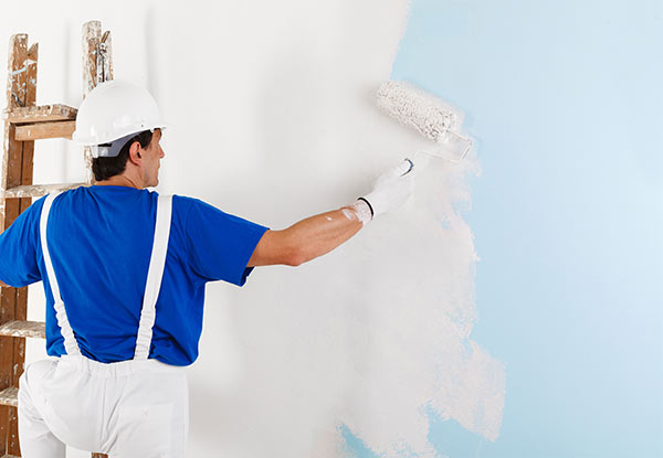 $149 for Four Hours of Painting/Plastering, $269 for Eight Hours or $259 to Hang a Wallpaper Feature Wall