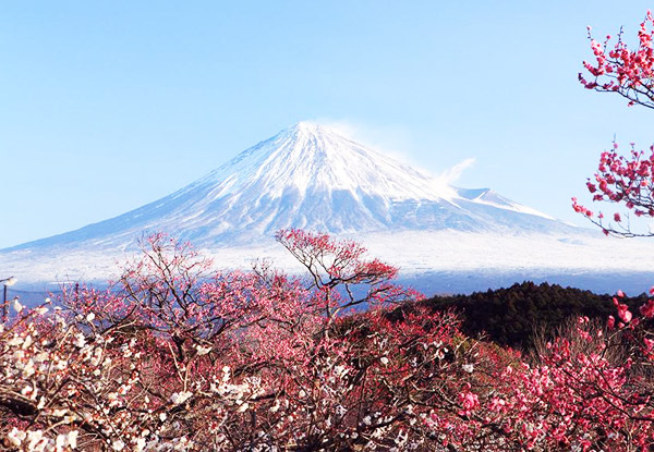 From $3,899 Per Person Twin Share for a 10-Night Ski & Tokyo Trip incl. Flights (value up to $6899)