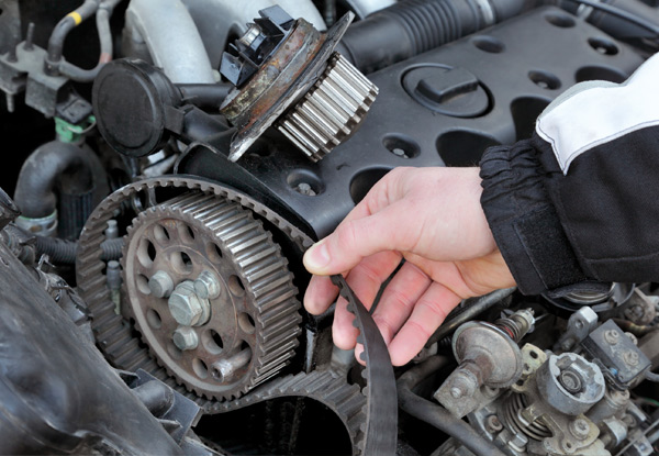 From $249 for a Cambelt Replacement for Japanese Vehicles or From $299 for European Vehicles (value up to $1,199)