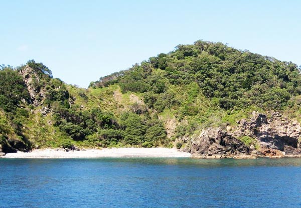 From $30 for a Sightseeing & Snorkeling Experience Around Kawau & Tawharanui - Options for Island Experiences to Great Barrier, Mokohinaus & Hen & Chicks (value up to $200)