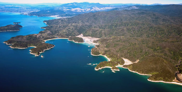 $25 for an Abel Tasman National Park Cruise for One Adult Including One Complimentary Child Ticket (value up to $50)