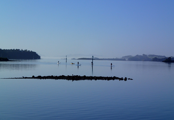 $59 for a Two-Hour SUP Kerikeri Inlet Tour incl. All Gear - Options for Two or Four People