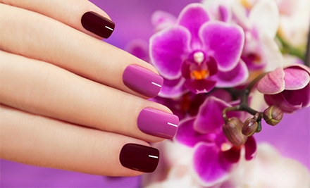 From $30 for a Shellac Manicure, $40 for a Shellac Pedicure, or $65 for Both (value up to $90)